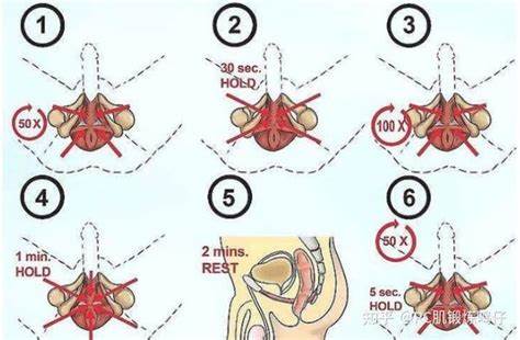 男性生殖器锻炼.阿拉伯挤奶法 doc