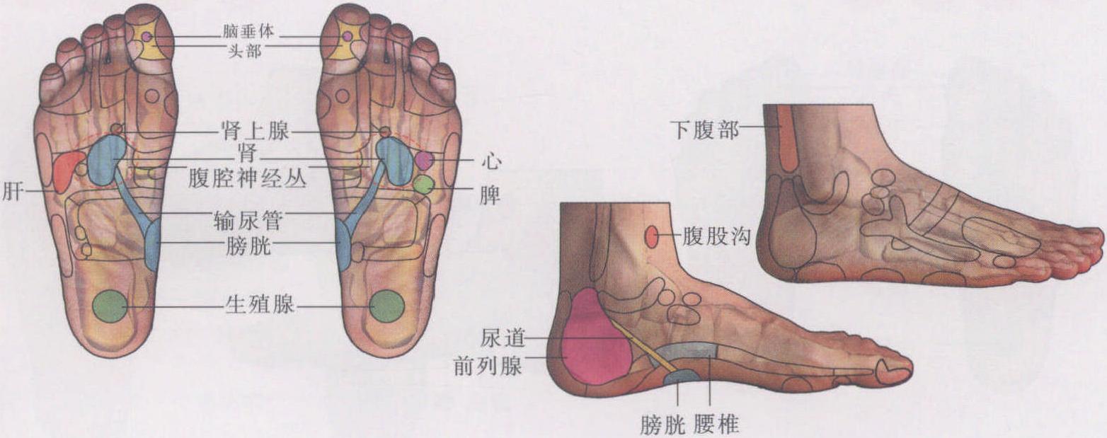 阳wei按摩图解  pdf