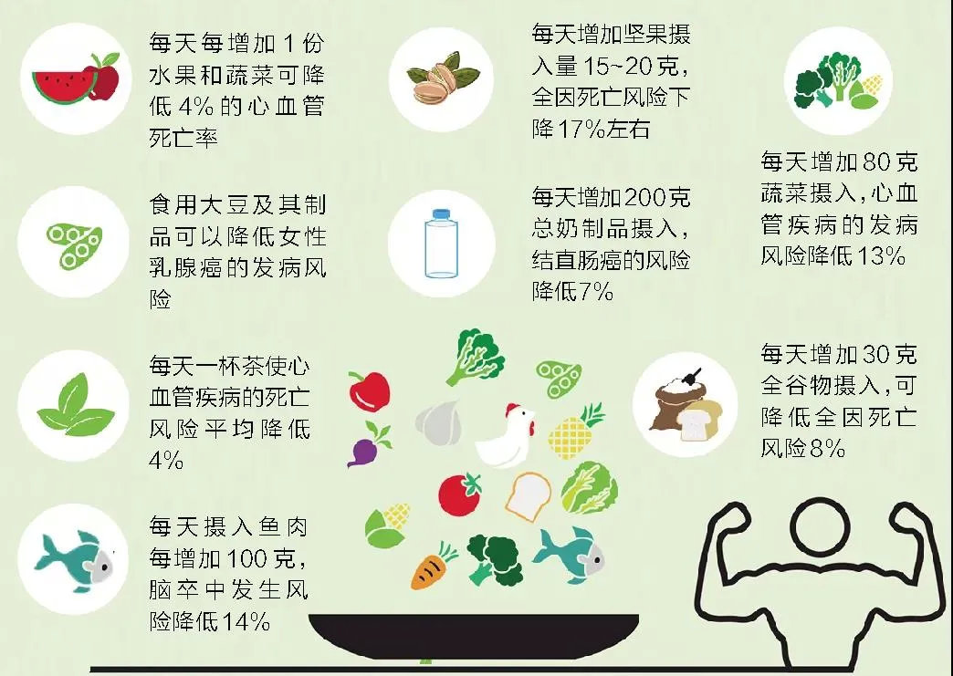食物是最好的医药精华 完整版